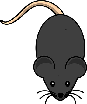 Cartoon Rat Top View Illustration PNG