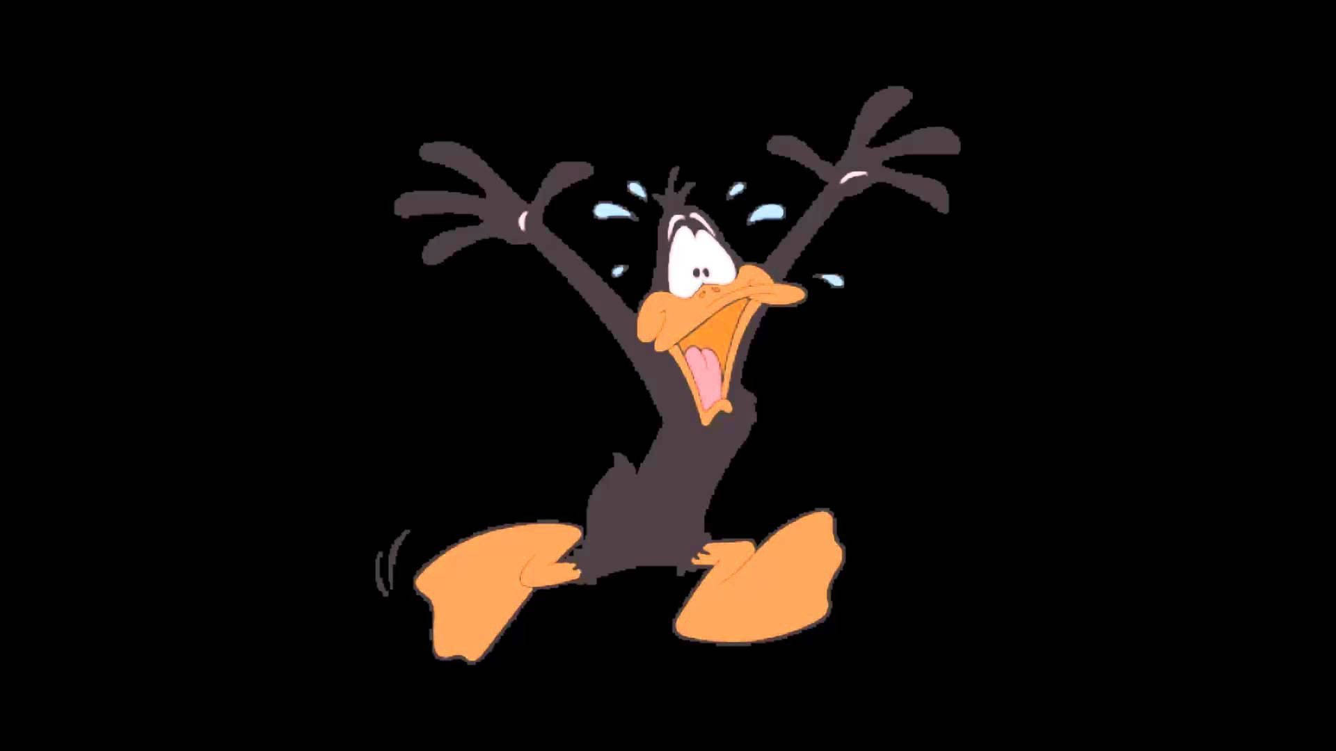 Cartoon Running Daffy Duck Wallpaper