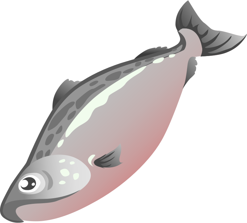 Cartoon Salmon Illustration PNG