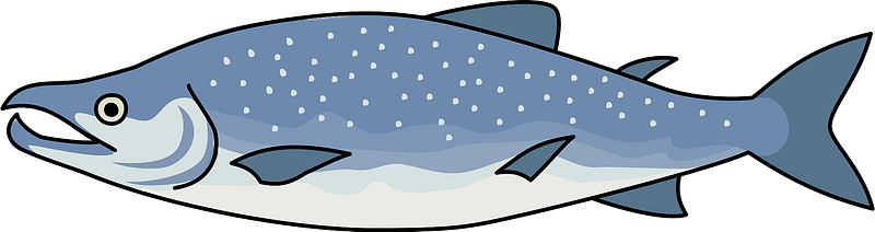 Cartoon Salmon Illustration PNG