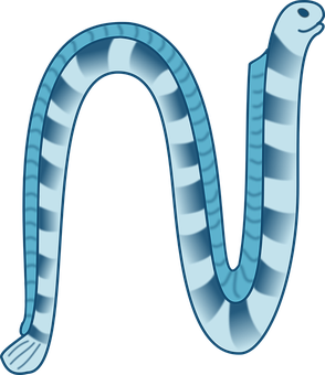 Cartoon Sea Eel Illustration PNG