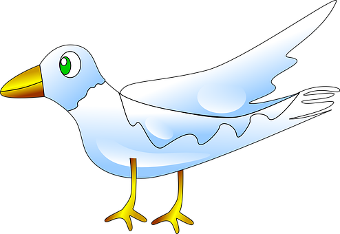 Cartoon Seagull Illustration PNG