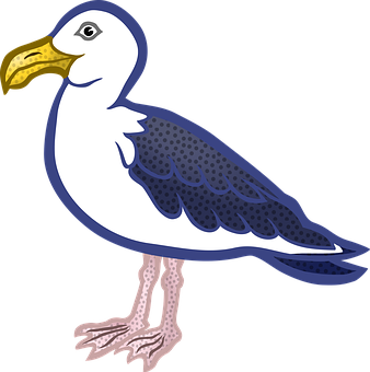 Cartoon Seagull Illustration PNG