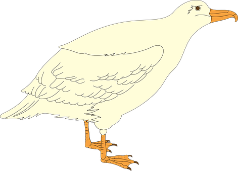 Cartoon Seagull Standing PNG