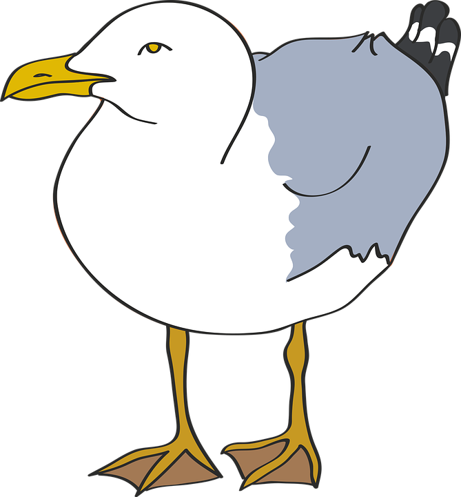 Cartoon Seagull Standing Vector PNG