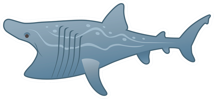 Download Cartoon Shark Illustration | Wallpapers.com