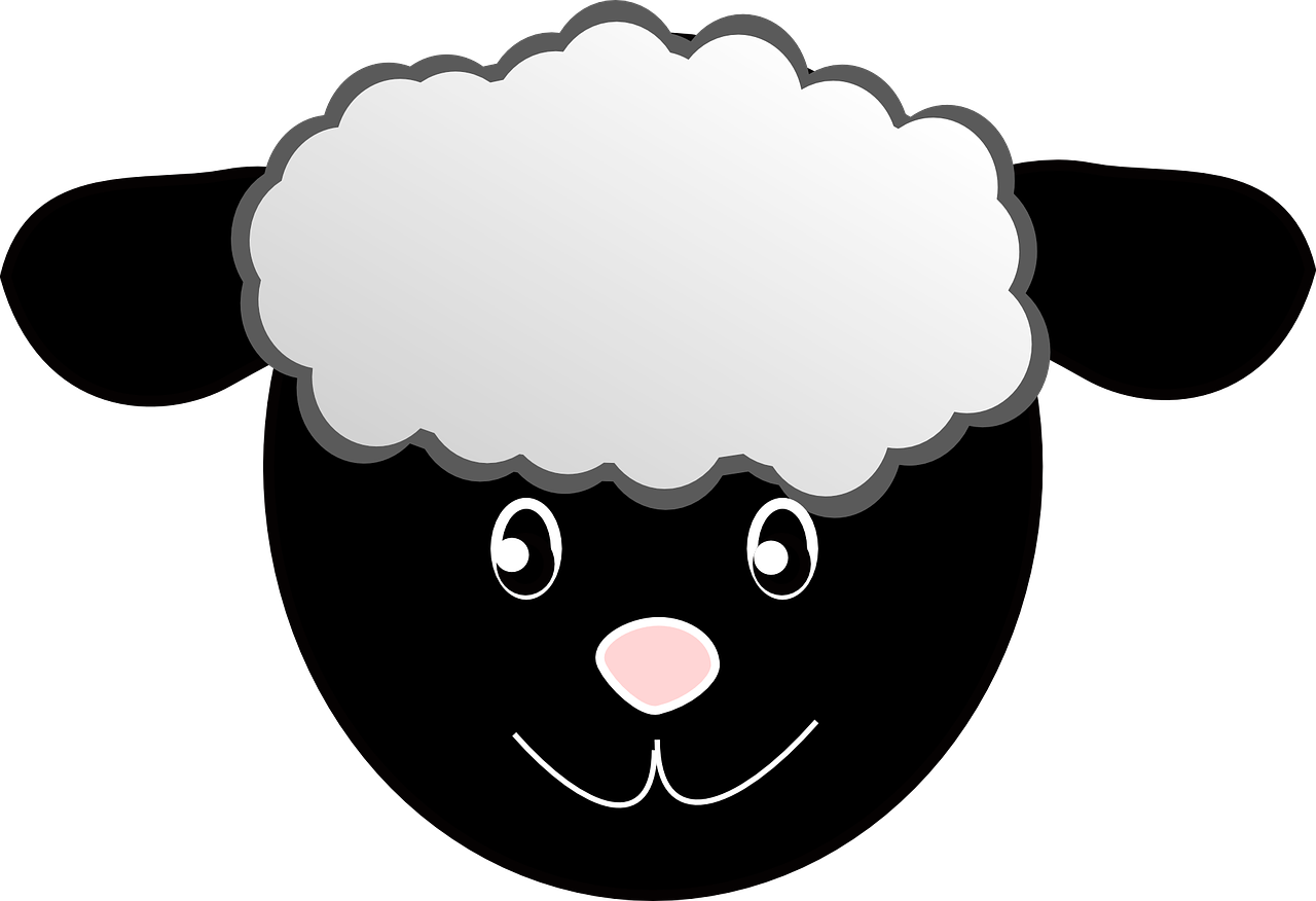 Cartoon Sheep Graphic PNG