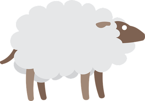 Cartoon Sheep Illustration PNG