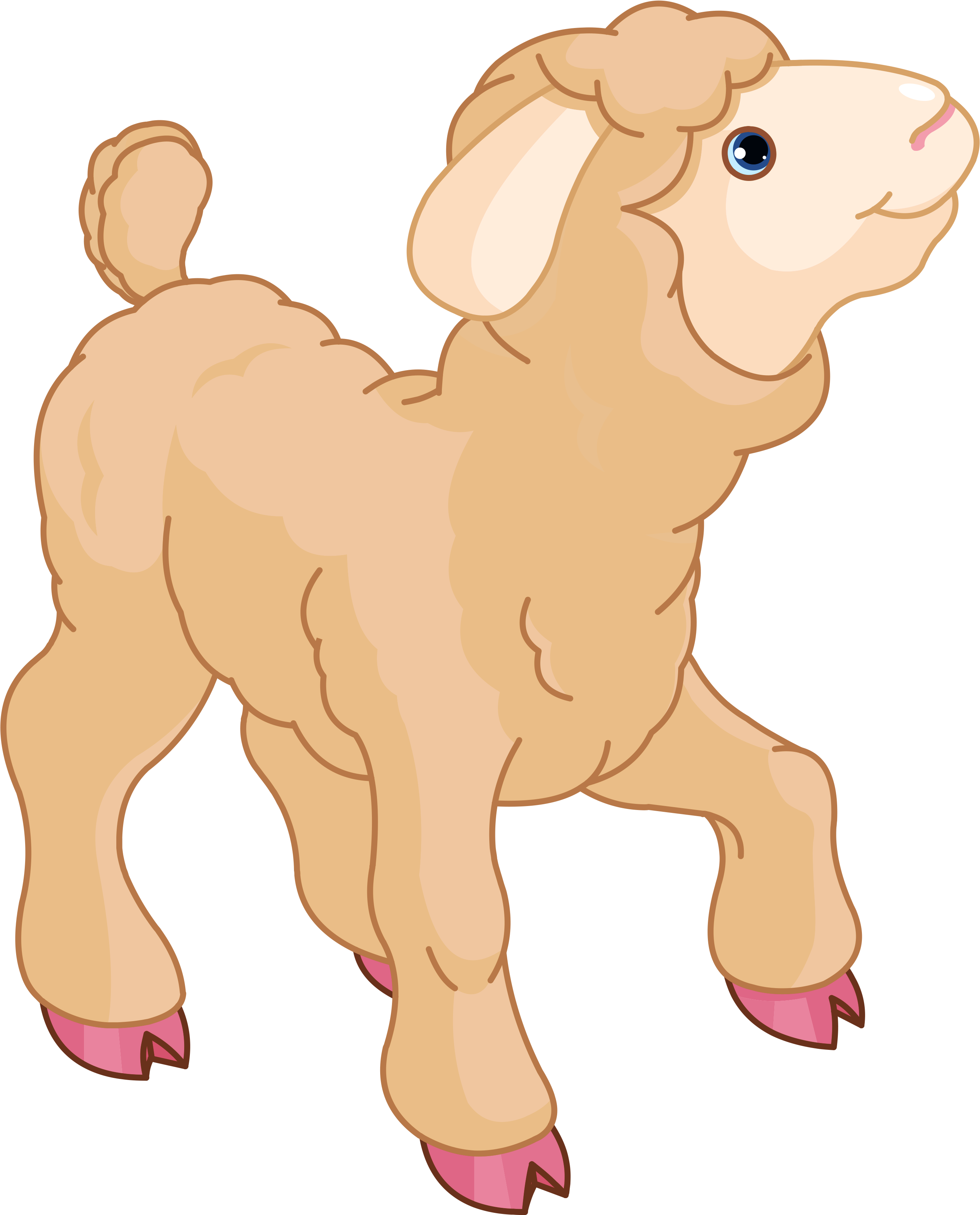 Cartoon Sheep Illustration PNG