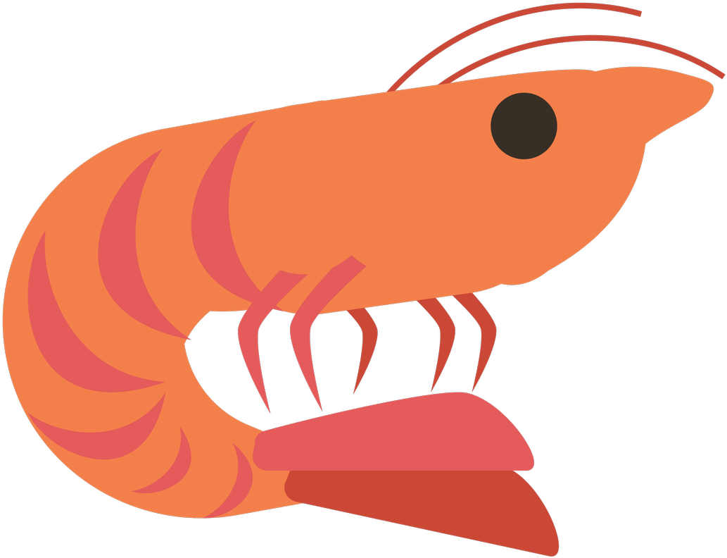 Cartoon Shrimp Illustration PNG