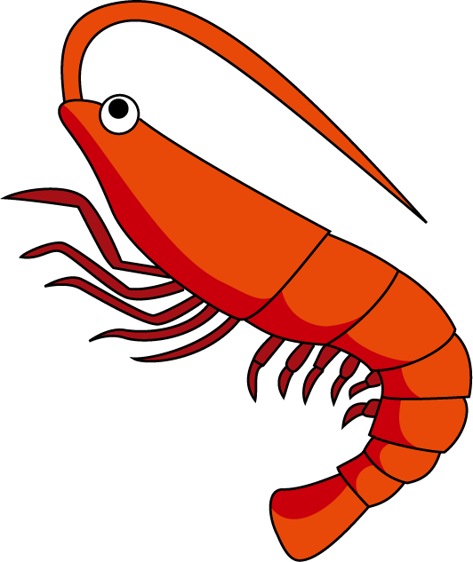 Cartoon Shrimp Illustration PNG