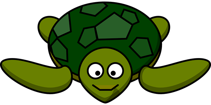 Cartoon Smiling Turtle Graphic PNG