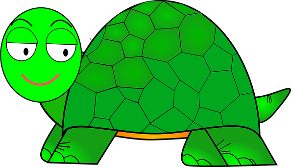 Cartoon Smiling Turtle PNG