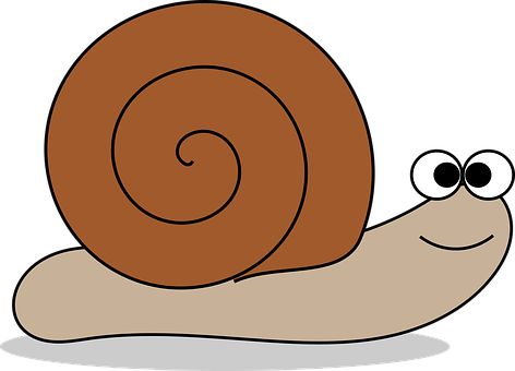 Cartoon Snail Graphic PNG