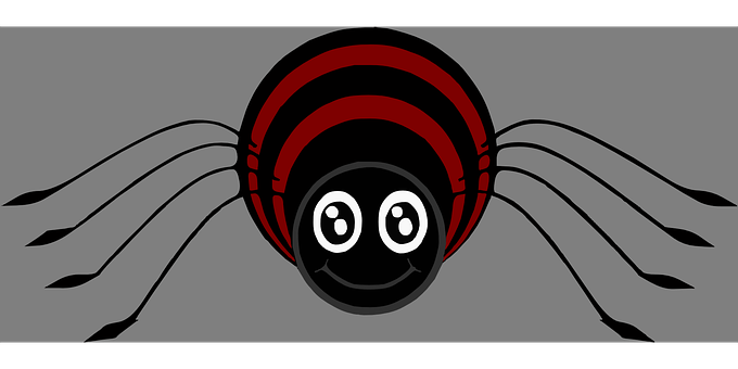 Cartoon Spider Graphic PNG