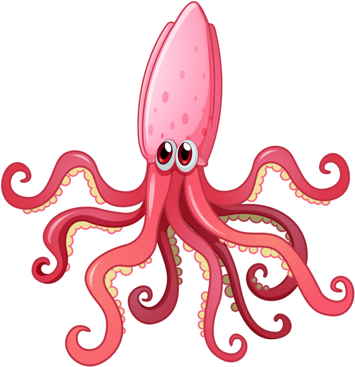 Cartoon Squid Illustration PNG