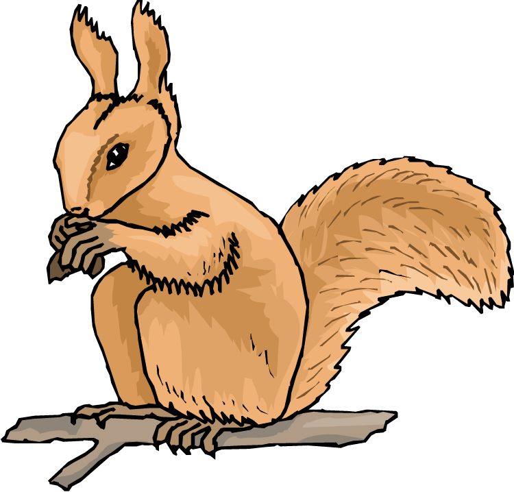 Cartoon Squirrel Eating Nut PNG