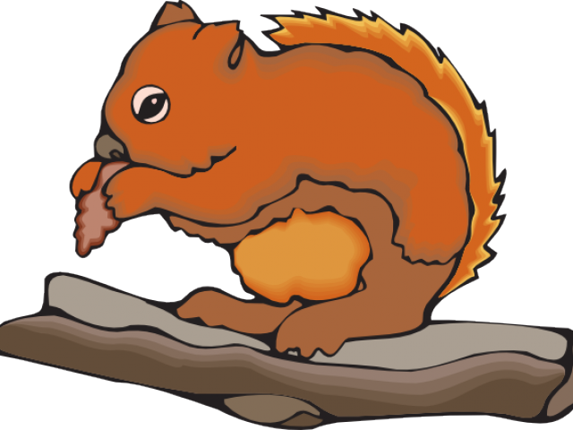 Cartoon Squirrel Eating Nuton Branch PNG