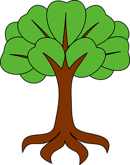 Cartoon Style Simple Tree Illustration PNG