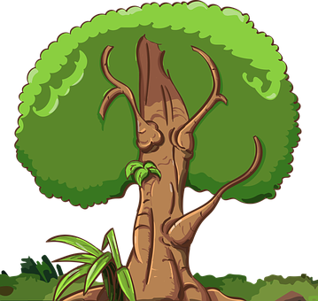 Cartoon Style Verdant Tree PNG