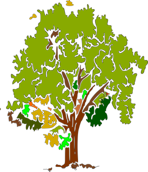 Cartoon Style Vibrant Tree PNG