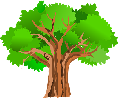 Cartoon Style Vibrant Tree PNG