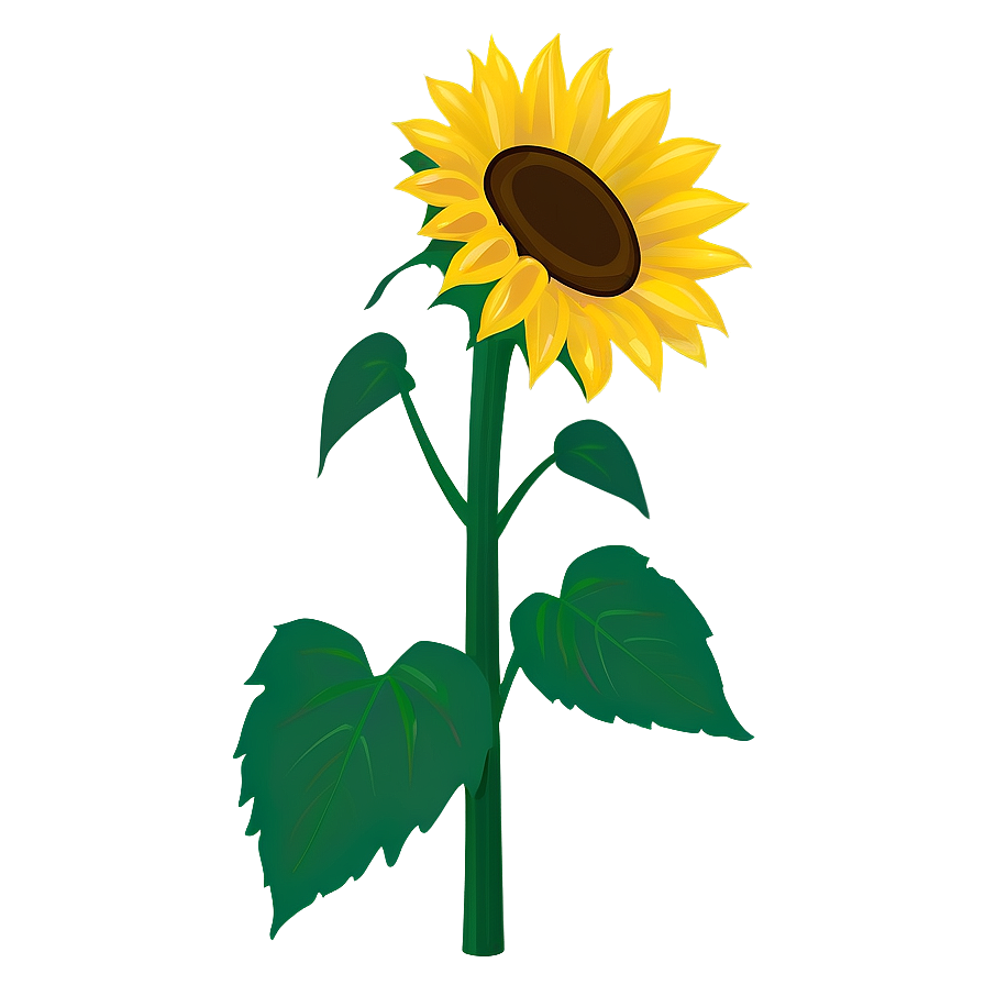 Cartoon Sunflower Png 05032024 PNG