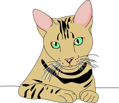 Cartoon Tabby Cat Illustration PNG