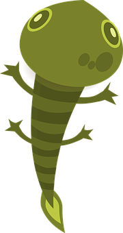 Cartoon Tadpole Illustration PNG