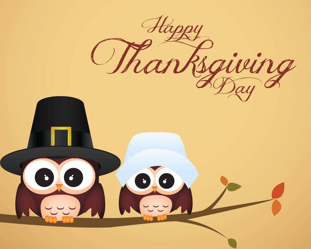 Cartoon Thanksgiving Owls With A Message Wallpaper