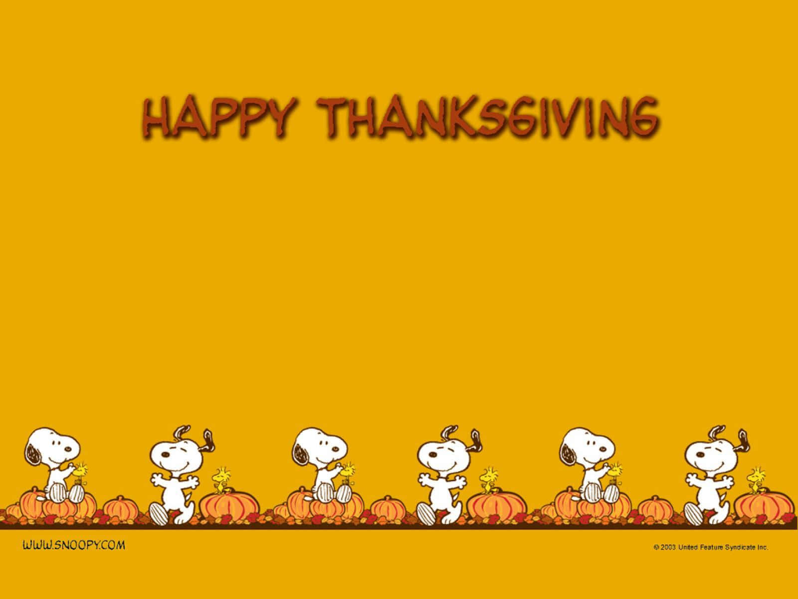 Cartoon Thanksgiving Snoopy With Pumpkins Wallpaper