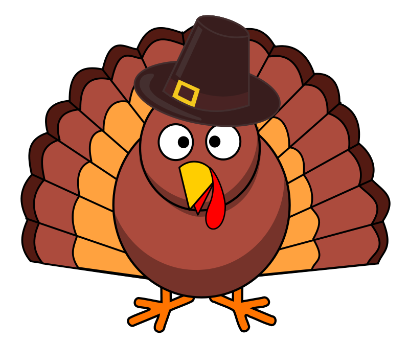 Cartoon Thanksgiving Turkeywith Hat PNG