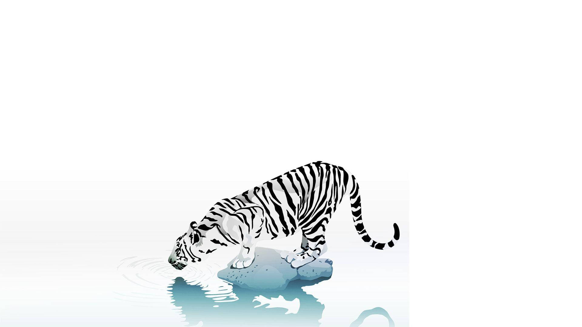 Cartoon Tiger On White Background