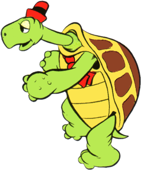 Cartoon Tortoise Wearing Hat PNG