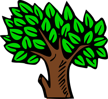 Cartoon Tree Illustration PNG