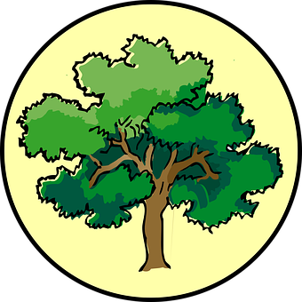 Cartoon Tree Illustration PNG