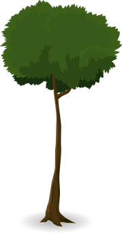 Cartoon_ Tree_ Silhouette PNG