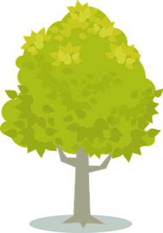 Cartoon Tree Vector Illustration PNG