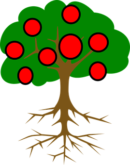 Cartoon Tree With Rootsand Fruit PNG