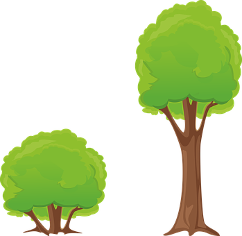 Cartoon Trees Vector Illustration PNG