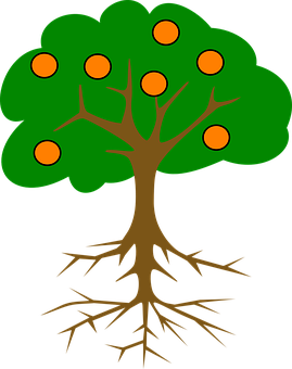 Cartoon Treewith Rootsand Fruits PNG