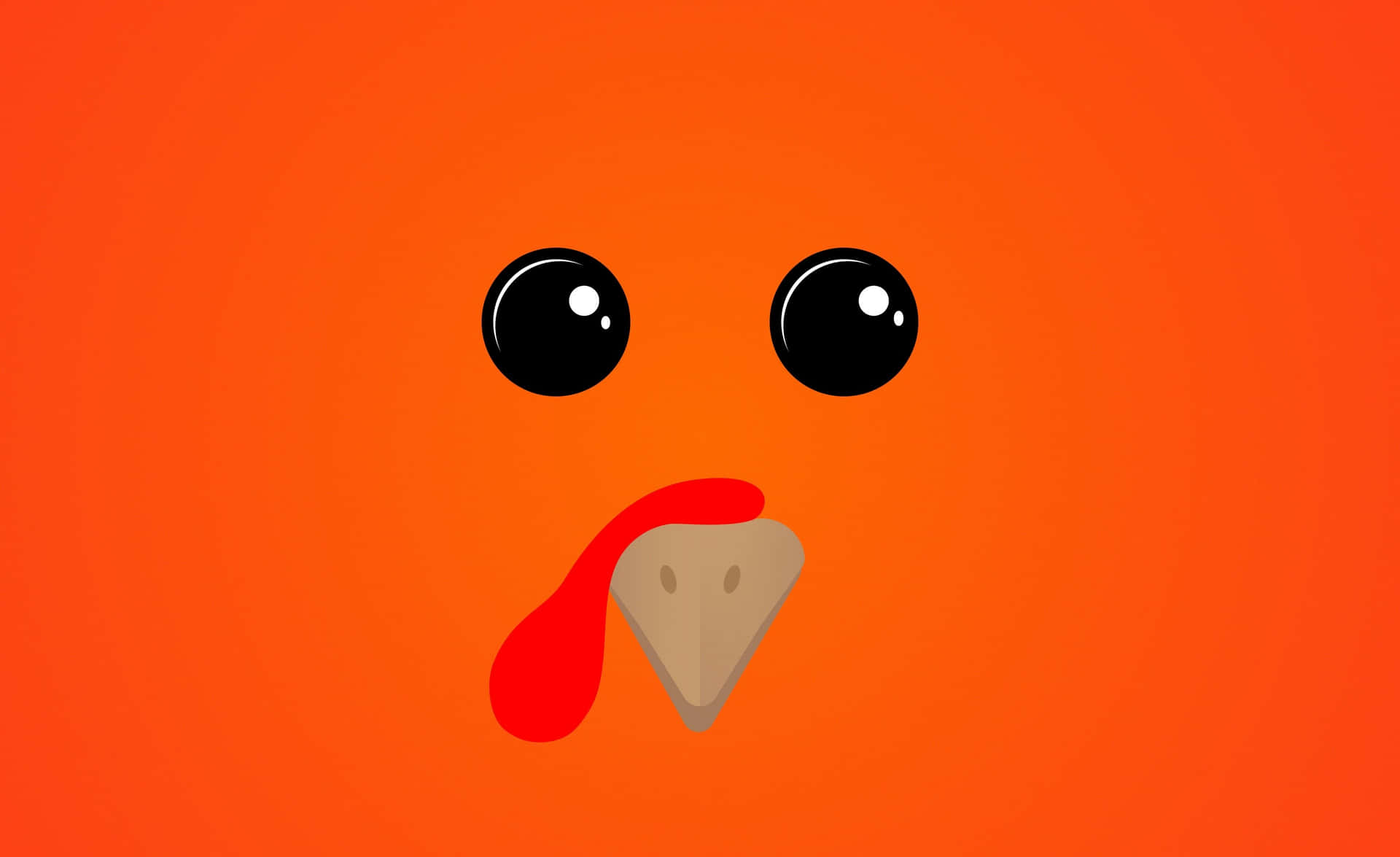 Cartoon Turkey Face Thanksgiving Background Wallpaper