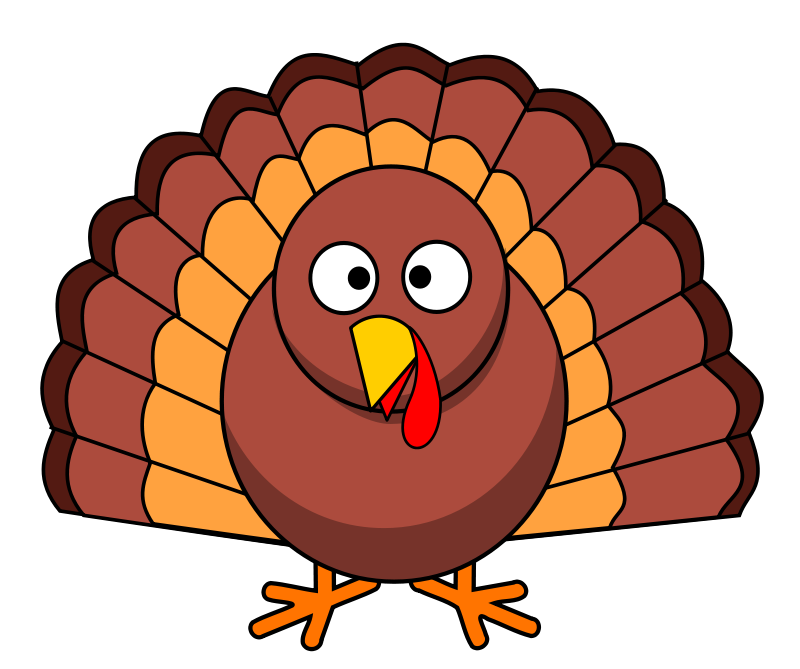 Cartoon Turkey Illustration PNG