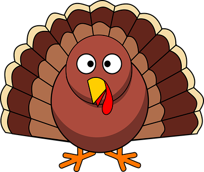 Cartoon Turkey Illustration PNG