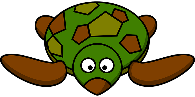 Cartoon Turtle Graphic PNG