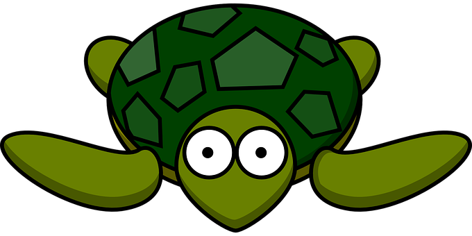 Cartoon Turtle Graphic PNG