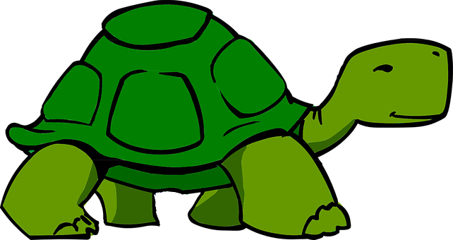 Cartoon_ Turtle_ Graphic PNG