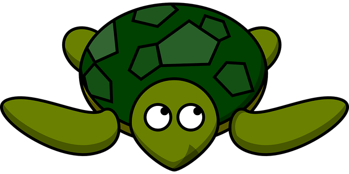 Cartoon Turtle Graphic PNG