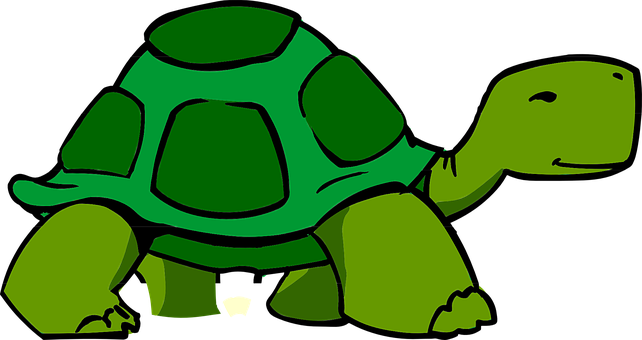 Cartoon Turtle Illustration PNG