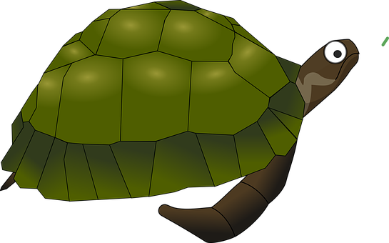 Cartoon Turtle Illustration PNG